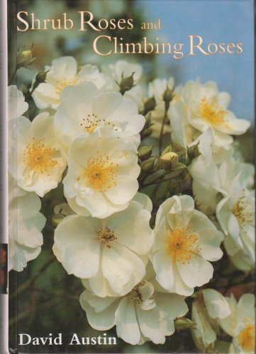 SHRUB ROSES AND CLIMBING ROSES with Hybrid Tea and Floribunda Roses