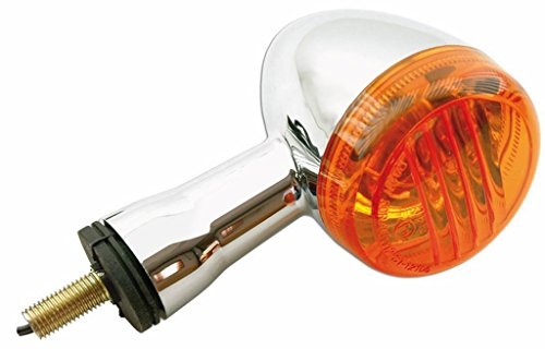 Blinker Hinten rechts