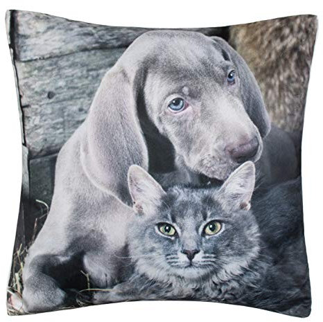 Brandsseller Dekokissen Zierkissen mit Tiermotiv - 40 x 40 cm - Dogge Welpe und Katze