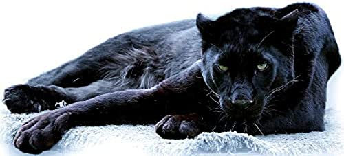 EPTIC DIY Handmade 5D Diamond Painting Kit Schwarzer Panther Diamantstickerei Bild Heimtextilien Wandkunst 40x40CM