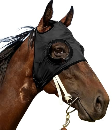 Bsbkoj Copriocchio di cavallo, protezione in rete resistente alla sabbia, cappuccio con occhielli di cavallo, per competizione equestre equitazione all'aperto a prova di velocità sport