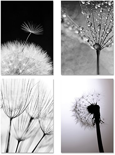 Poster 4er-Set PUSTEBLUMEN MONOCHROM, ungerahmt DIN A4, Kunstdruck, Poster, Dekoration, Wandbild, schwarz Weiss, Makroaufnahmen