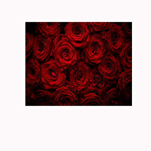 Fototapete rote Rose 175x210cm Selbstklebend Wandgemälde Wand Dekoration Schlafzimmer Tapete
