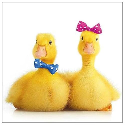 Ambiente Papierservietten, 3-lagig, 33 x 33 cm, kleine Enten, 20 Stück