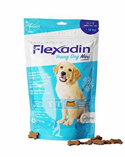 Flexadin® Young Dog Maxi| Für gesunde Gelenke von Jungen Hunden ab 10 kg | mit Glucosamin, Chondroitin, Omega-3, Teufelskralle – 60 Gelenkleckerli
