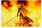 BBAUER Final Fantasy 7 Sephiroth Poster Dekorative Malerei Leinwand Wandkunst Wohnzimmer Poster Schlafzimmer Malerei,Wandkunst Bilddruck Moderne Familienzimmer Dekor 08x12inch(20x30cm)