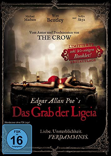 Splendid Film/WVG