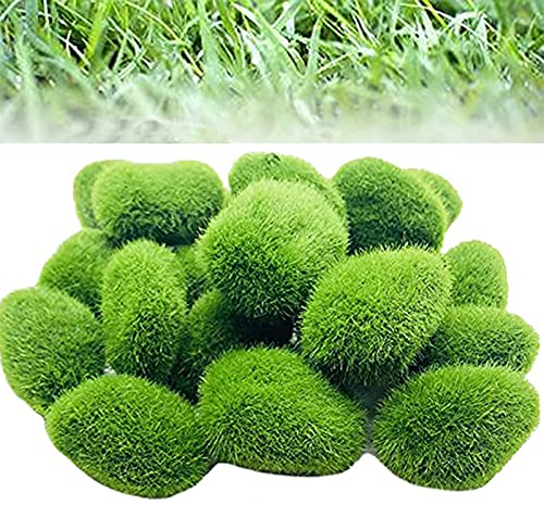 通用 15 Stücke Künstliche Moos Steine, Grüne Moossteine, Mooskugel, Dekorative Kunststeine für gärten, Terrarien und Handwerk, DIY Landschaft Dekor