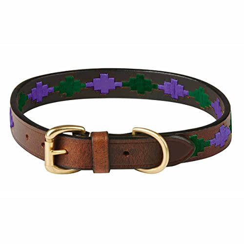 WeatherBeeta Polo Leather Dog Collar, Beaufort Brown/Purple/Teal, Large