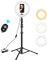 iRhodesy LED Ringlicht 10 Zoll inkl. 150 cm Stativ, dimmbare Selfie Ringleuchte, 3 Lichtmodi & 10 Helligkeitsstufen für YouTube, TikTok, Make-Up, Live-Streaming, USB