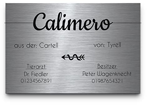 CHRISCK design Pferdeschild aus Premium Edelstahl mit Gravur | Namensschild Boxenschild Stallschild wahlweise mit Bohrlöcher 30x20 cm mit Brandzeichen und Motiven Ideal für den Stall Pferdebox… (D5)