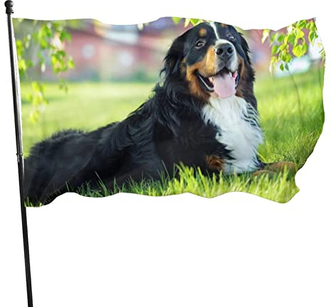 Flagge 150x90cm, Outdoor Windward Fahne, Lebendiges Farbbanner Gartenflagge Berner Sennenhund Dekorative Flagge, Hochwertige Polyester Yard Fahne, Saisonales, Lustige Große Flagge, Outdoor-Dekoration