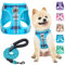 BEAUTYZOO Step in No Chock No Pull Soft Mesh Dog Harness & Leash Set, Reflective for Extra-Small/Small Puppy Dogs & Cats, Plaid Dog Vest Harness for XS/S Pets, Blue