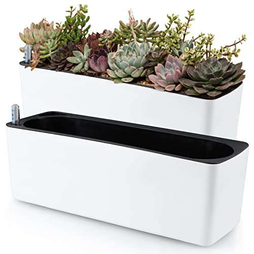 Skelang 2er-Pack Selbstbewässernder Pflanzgefäß, rechteckiger Blumentopf mit Wasserstandsanzeige, Fenster-Gartenbox für Zimmerpflanzen, Sukkulenten, Sprossen, Pfeffer