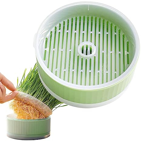 Rianpesn Hierba para Gatos - Plantador Hierba gatera sin Suelo - Bandeja germinación Desmontable, Caja Hierba sin Suelo para Ayudar a la digestión, decoración del hogar