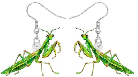 DUOWEI Acrylic Süß Brauner Teufel Pferd Gottesanbeterin Ohrringe Insekten Schmuck für Frauen Mädchen Teens Lustige Geschenke (Gottesanbeterin B)