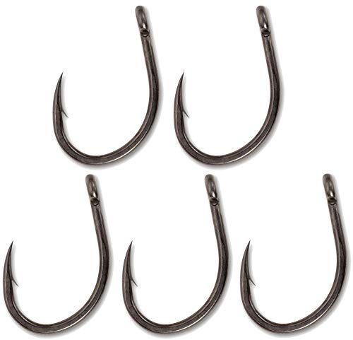 Black Cat DG Coating 1/0 Cat Hooker 5Stück 2,5g