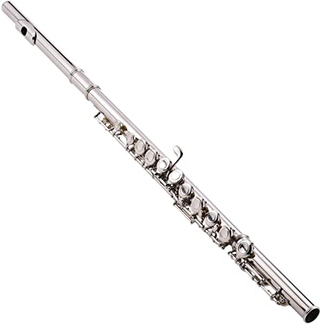 DZDZDZ querflöte Instrument Flöte Vernickelt 16 Löcher C Kurs Cupronickel Holzwind Instrument Reinigungsstockhandschuhe Mini Schraubendreher Bag Einsteigerflöte