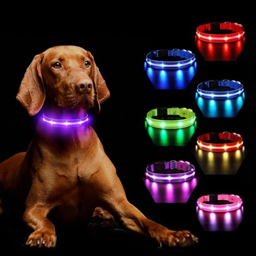 Light Up Dog Collar Rechargeable, LED Dog Collar Lights with 7 Colors Change 8 Lighting Modes Glow in the Dark, Adjustable Waterproof Flashing Collar for Small Medium Large Dog, Purple S