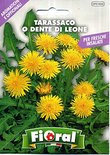 Semillas de plantas aromáticas y oficinales, en bolsita, para uso amateur