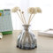 LIBOOI Reed Diffuser Bottles, Glass Diffuser Bottles Empty Decorative Vase Jars Oil Diffusers Container Fragrance Accessories for DIY Essential Oil Diffuser Gift