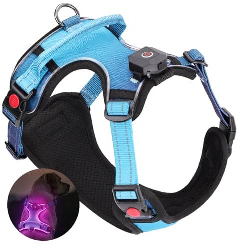DAISTERN von BSWAY LED Hundegeschirr Größe S mit Griff, Aufladbares Leuchtendes Hundegeschirr, Brustgeschirre Hunde mit 3 Blinkmodi, Reflektierende Streifen für kleine und Mittelgroße Hunde