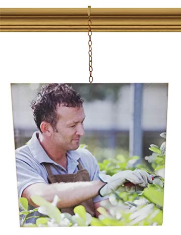 Brass Gold Chain Picture Hanging System Moulding Hook for Traditional Victorian Dado Rail (kit with 1 Meter Long Chain)