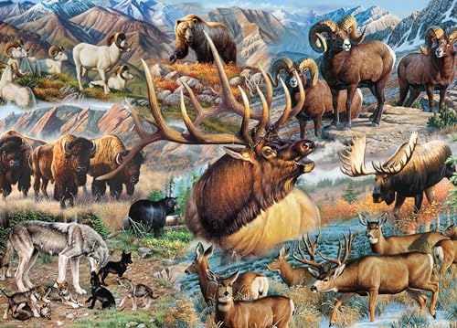 Ceaco - Wild - America The Wild - Puzzle mit 1000 Teilen