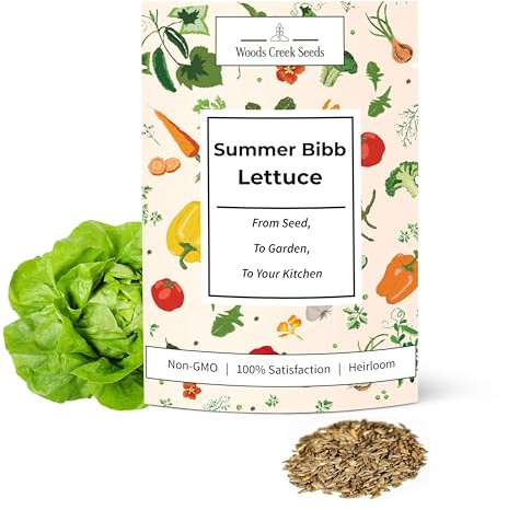 Summer Bibb Lettuce Seeds for Planting – Heirloom, Heat Tolerant Bibb Lettuce Seeds, Loose Leaf Salad Lettuce for Home Gardens & Hydroponics | Woods Creek Seeds