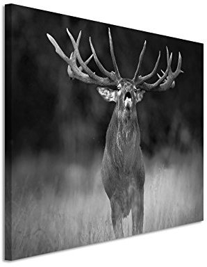 Sinus Art 50x70cm Wandbild Fotoleinwand Bild in Schwarz Weiss Tier Hirsch Wald Dyrehave Dänemark