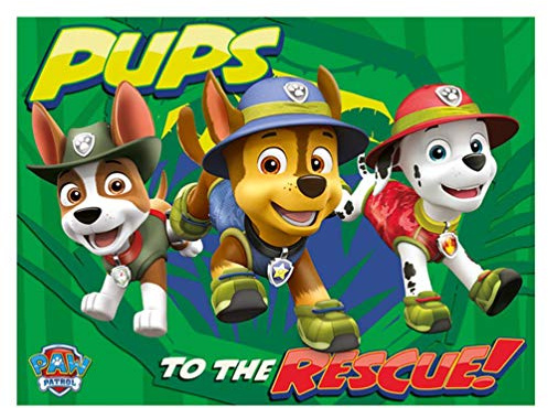 Paw Patrol Pups To The Rescue, 60 x 80 cm, Leinwanddruck