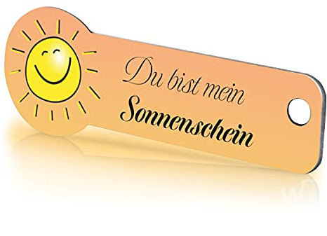 Einkaufswagenlöser Sonnenschein/Schlüsselanhänger Einkaufschip mit Schlüsselfundservice/Abziehbarer Einkaufswagenchip Metall, Chip Einkaufswagen, Key Finder / 1 Stück
