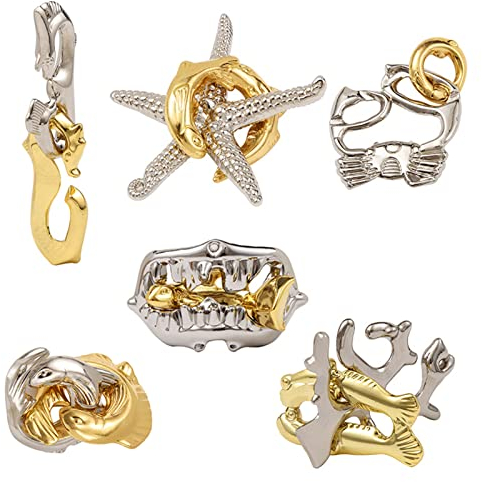 RoseFlower 6 pcs Metallpuzzle Cast Puzzle Magic Lock Unlock Adult Intelligent Brain Teasers Alloy Toy Intelligentes für Party Favor Kids Adults, METALBT040