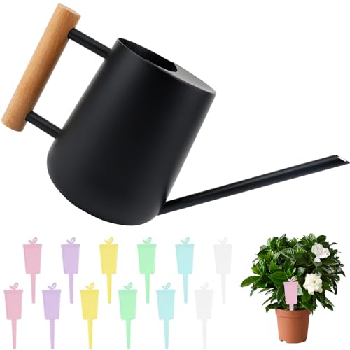 Regadera 1L, Regadera de Interior de Acero Inoxidable Regadera Pequeña con Boquilla Larga Regadera de Jardín de Metal, Acero Inoxidable Regadera Bonsai para Plantas de Interior y Jardínes(Negro)