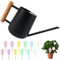 Regadera 1L, Regadera de Interior de Acero Inoxidable Regadera Pequeña con Boquilla Larga Regadera de Jardín de Metal, Acero Inoxidable Regadera Bonsai para Plantas de Interior y Jardínes(Negro)