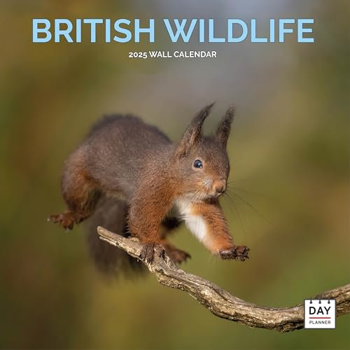 Dayplanner Publishing British Wildlife Calendar 2026, Large Square Wall Calendar With Organisational Stickers, 16 Month, British Wildlife Gift Wildlife Calendar