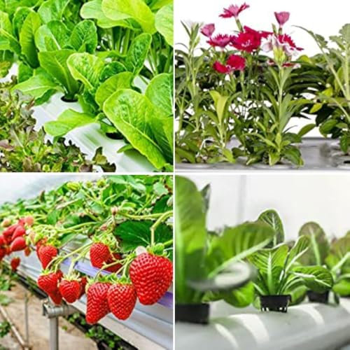 Jardinage facile avec 25 pots en plastique