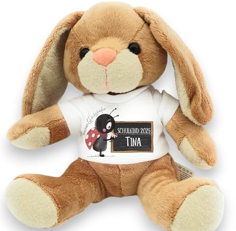 Kilala Personalisiertes Einschulungskuscheltier – Schulkind 2025 – Plüschfigur mit Wunschname – Geschenk zur Einschulung – 21 cm – viele Motive (Glückskäfer)