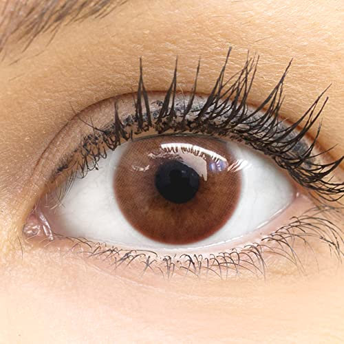 Glamlens lentilles de couleur marron naturelles colorées très haute opacité Venedig Milky Brown + étuis à lentilles de contact I 1 paire (2 pièces) I 90 Jours I sans correction I 0,00 Dioptries