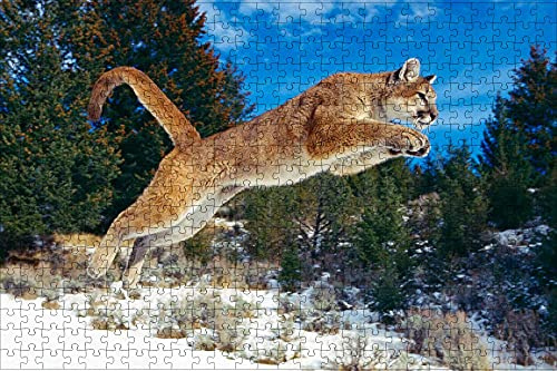 LHJOY Puzzle unterlagen Puzzle 1000 Teile Puma großes Katzentier Geburtstagsgeschenk 75x50cm