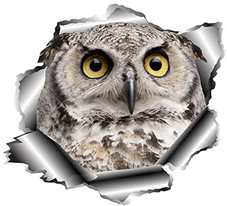 Asudaro Auto Windschutzscheibe Aufkleber Lustige Auto Aufkleber Eulen Auto Abziehbilder 3D Auto Decals Vinyl Auto Aufkleber Autosticker Decal Aufkleber Sticker für Auto Windows Glas,13x12cm