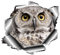 Asudaro Auto Windschutzscheibe Aufkleber Lustige Auto Aufkleber Eulen Auto Abziehbilder 3D Auto Decals Vinyl Auto Aufkleber Autosticker Decal Aufkleber Sticker für Auto Windows Glas,13x12cm