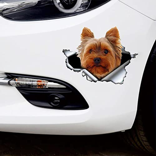 SHUNHUA 3D Hunde Aufkleber, Selbstklebender Aufkleber, Yorkshire-Terrier V4, Autoaufkleber, wasserdicht, Autodekore auf der Stoßstange, Heckscheibe, B0094