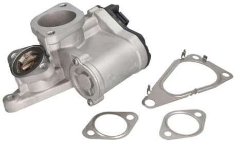 DELPHI EG10631-12B1 AGR-Ventil Abgasrückführungsventil ohne AGR-Kühler ohne AGR-Kühler Kompatibel mit SUZUKI Grand Vitara II SUV JT, TE, TD 1811167JG0 1811167JG1 1811167JG2