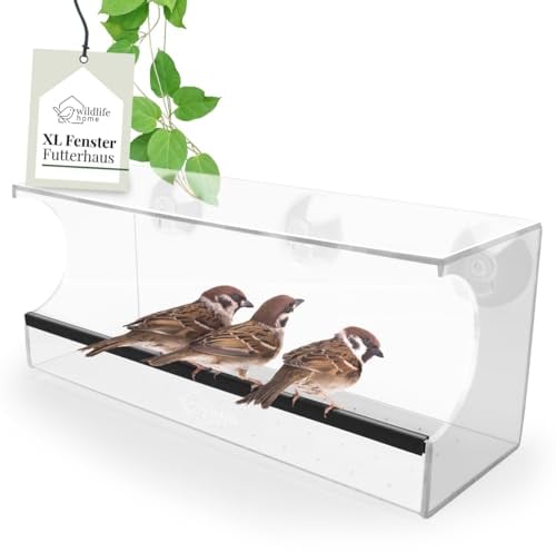 WILDLIFE HOME Fenster Futterhaus für Vögel I Transparent, 30cm Länge I XL Vogelhaus Fenster, Vogelfutterspender für Wildvögel, Family