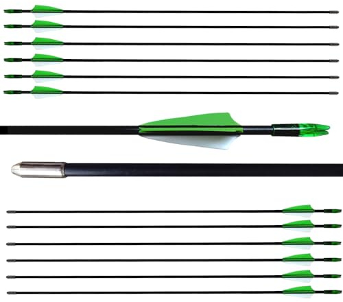 e5e10 28 inch Target Arrows Practice Fiberglass Arrow for Kids Youth Beginner, Safety Blunt Tip Arrows for Archery Recurve Bow Long Bow -12 Pack(Green)