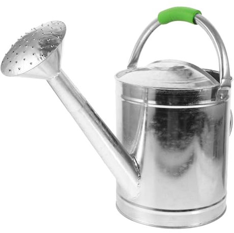 Mipcase Annaffiatoio In Per Piante Da 5L Annaffiatoio In Acciaio Zincato Con Beccuccio Spray