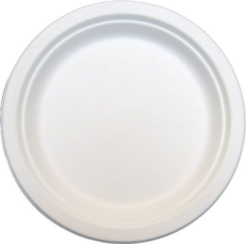 Thali Outlet - 100 x Round 6 Strong White Paper Plates Biodegradable Bagasse Disposable for Side Dessert Starter Snack - 15cm Diameter