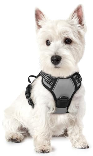 rabbitgoo Hundegeschirr Kleine Hunde, Anti Zug Geschirr mit Kontrolle, No Pull Verstellbar Hundegeschirr Grosse Hunde, Atmungsaktiv Reflexstreifen Brustgeschirr Sichere Führung Grau XS