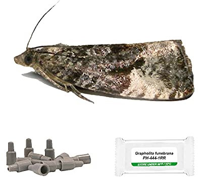 IPM Direct Pack of 3 Moth Trap Attractant Pheromones (Plum Fruit Moth)